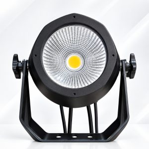 COB Outdoor 200W BQ/BF